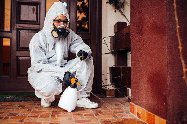Reliable Fumigation Services contractor in Alto, GA by Nex Pest Control